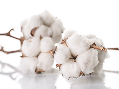 Uubo posteljnine certifikati