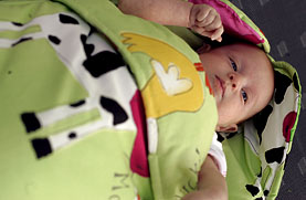 vrtci_okence_novo_farm